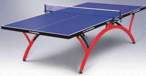 成都乒乓球桌的报价 健身器材批发 成都胜冠体育用品有限公司