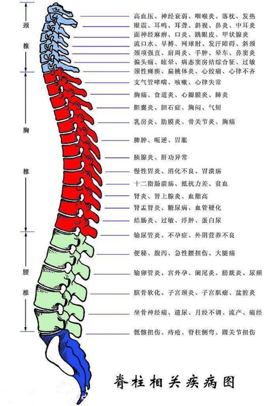 邦健能脊椎治疗仪-腰椎治疗仪多少钱-河南邦乐生物