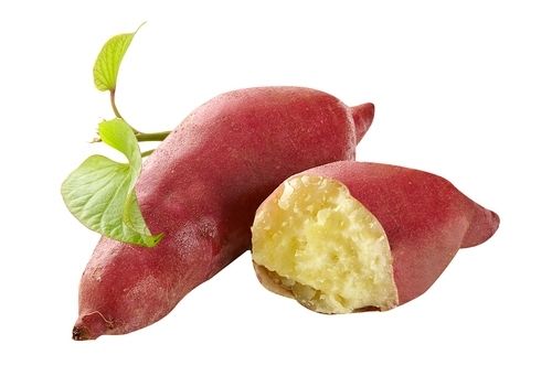 重庆市红薯多少钱一斤_好吃的薯类