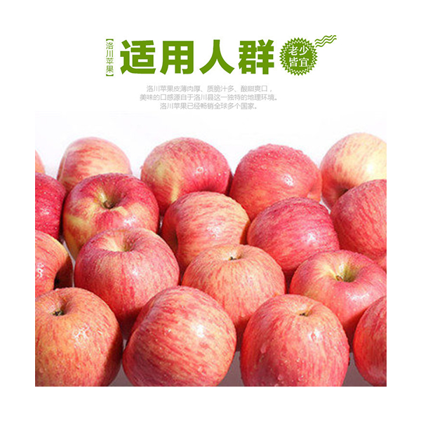 欢迎访问洛川县源丰苹果专业合作社的网站