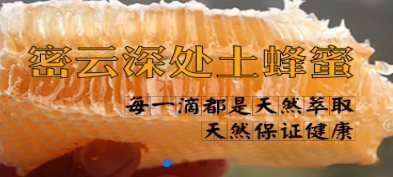 野生蜂蜜价格_密云-北京密农润丰农业科技有限公司
