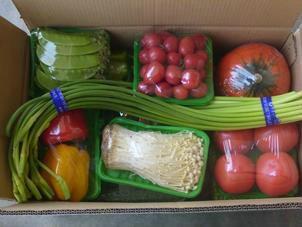 我们推荐有机蔬菜箱装净菜配送_冷冻蔬菜相关
