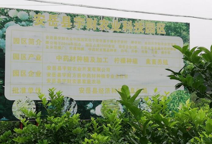 四川黄柠檬_柠檬酸钠相关-四川宇财农业开发有限公司