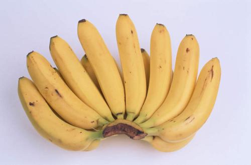 高品质西安香蕉售价_香蕉供应相关