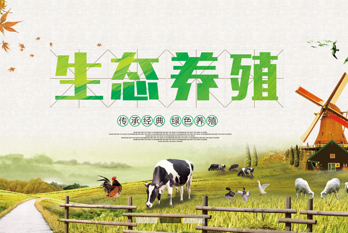 生态猪养殖_生态猪价格  相关-漾濞县三宝山农林科技开发有限公司