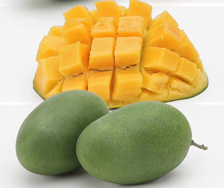 攀西芒果多少钱一斤_会理其他生鲜水果价格