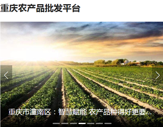 农产品电商平台_农产品一件代发相关-重庆润银科技有限公司