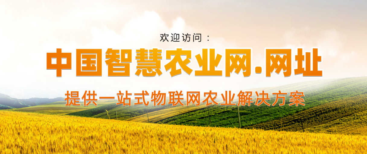 中国特产平台_贵州特产相关-遵义森宏农业科技有限公司