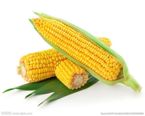 玉米营养价值_玉米种子相关