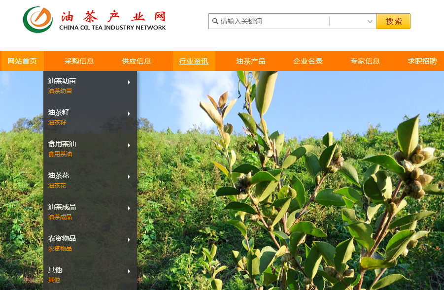 优质油茶产业网电话_农业电话-重庆市梁平区登云山油茶种植股份合作社
