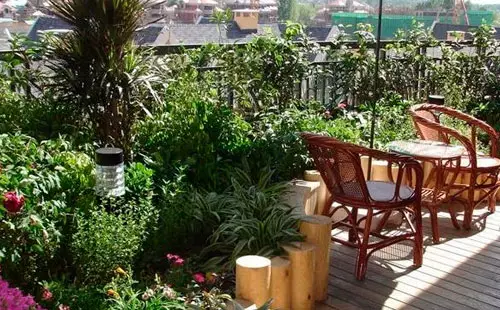 庭院绿化