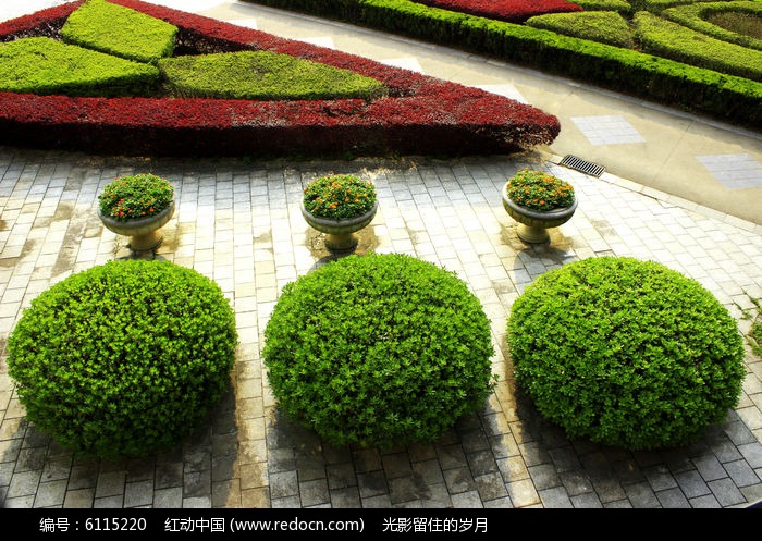 景观绿化养护_绿化工程-北京九州祥云园林绿化有限公司