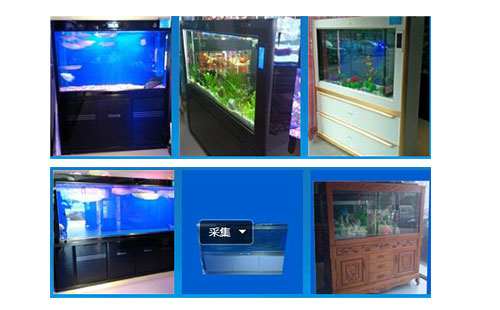 小型鱼缸设计多少钱_优质水族器材多少钱-重庆市泽枫园林景观工程有限公司