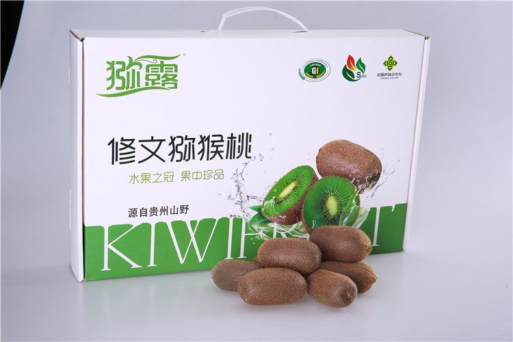 优质猕猴桃脆片批发-贵州三金圣果绿色食品有限责任公司