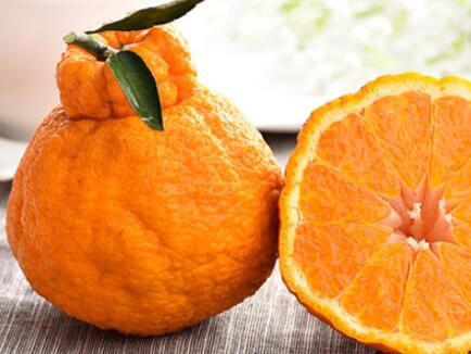 今年不知火柑橘价格_不知火柑橘供应商相关-四川省醉忆小橘农业发展有限公司