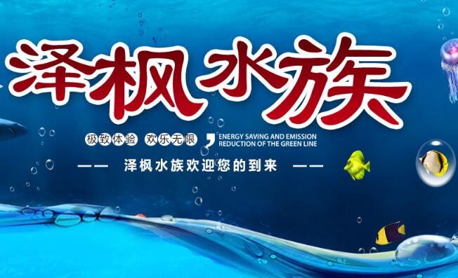 鱼池水处理报价_重庆其他清洗、清理设备价格-重庆市泽枫园林景观工程有限公司
