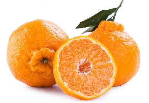 柑橘春见价格_柑橘相关-四川省醉忆小橘农业发展有限公司