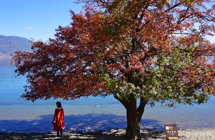 12月凉山有哪些好看的旅游景点_凉山旅游服务-木里鼎貝曲生态旅游开发有限公司