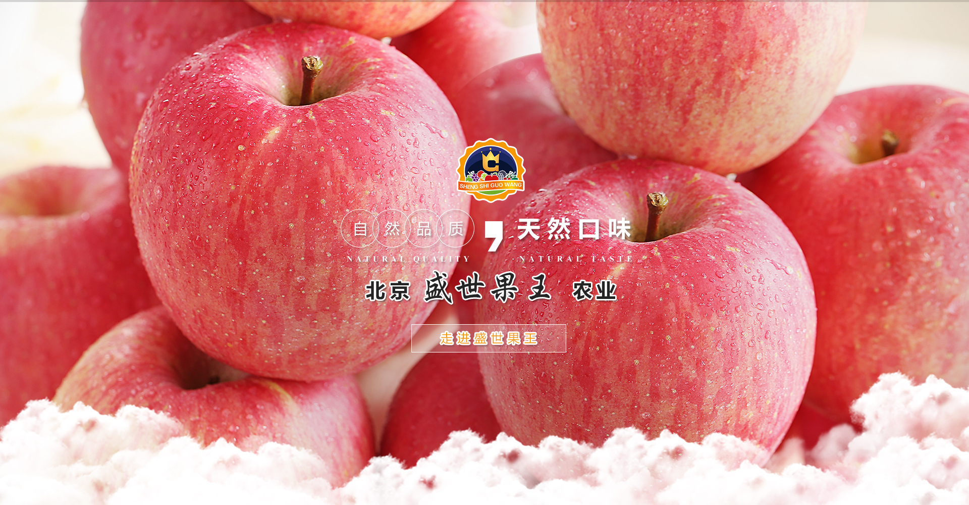 晚熟金帅苹果大量供应_新鲜苹果价格-北京盛世果王农业科技发展有限公司