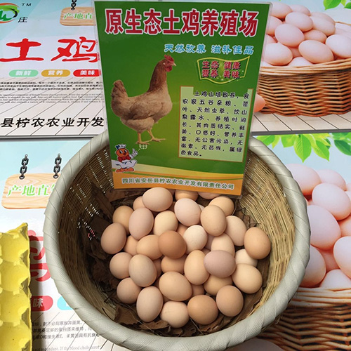 草鸡蛋供应商_高端禽蛋价格-安岳县柠农农业开发有限责任公司