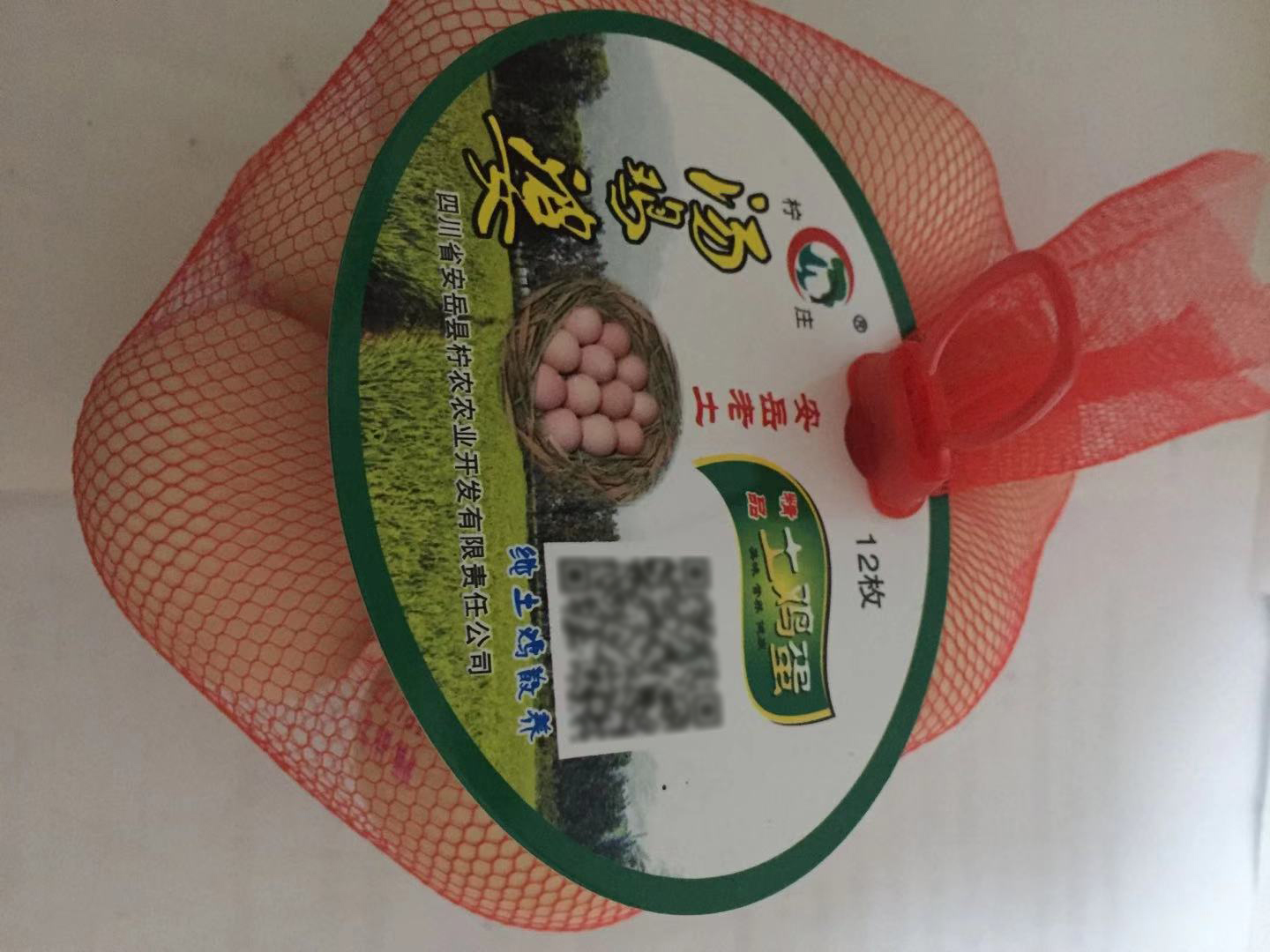 散养绿壳鸡蛋货源_其它农业食品相关-安岳县柠农农业开发有限责任公司
