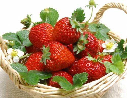 高品质无公害草莓多少钱_草莓供应相关-富顺县聚鑫种植家庭农场