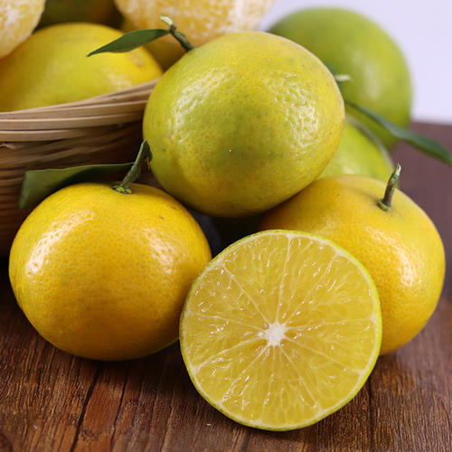 我们推荐砂糖橘多少钱一斤_砂糖橘供应相关-富顺县聚鑫种植家庭农场