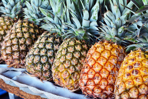 高品质富顺菠萝产地直供_菠萝供应相关-富顺县聚鑫种植家庭农场