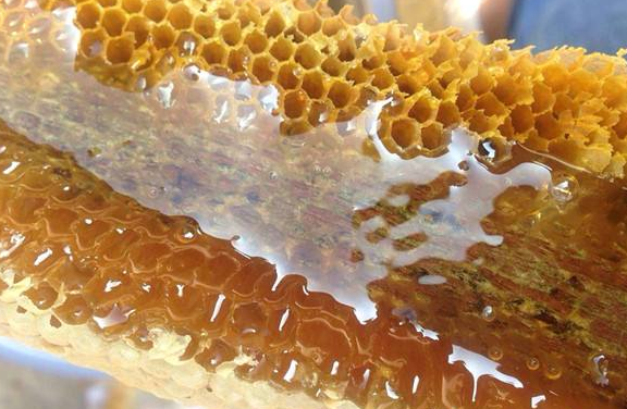 正品茶树花粉哪里买_茶树花粉供应相关-金牛区蜂花蜂产品经营部