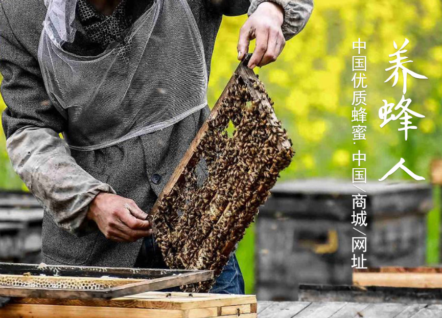 正品野生蜂蜜零售批发_野生蜂蜜报价相关-金牛区蜂花蜂产品经营部