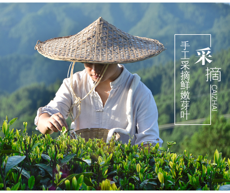 特级银球茶供应_更高能绿茶-贵州天地互联商贸发展有限公司