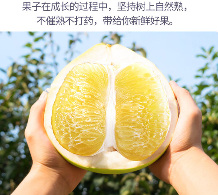 好吃的白心柚_新鲜柑桔、橙、柚种植社-富顺县聚鑫种植家庭农场