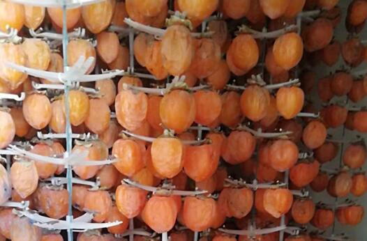 陕西孟姜原柿饼零售_最好的哪里买-铜川市绿阳现代农业发展有限责任公司