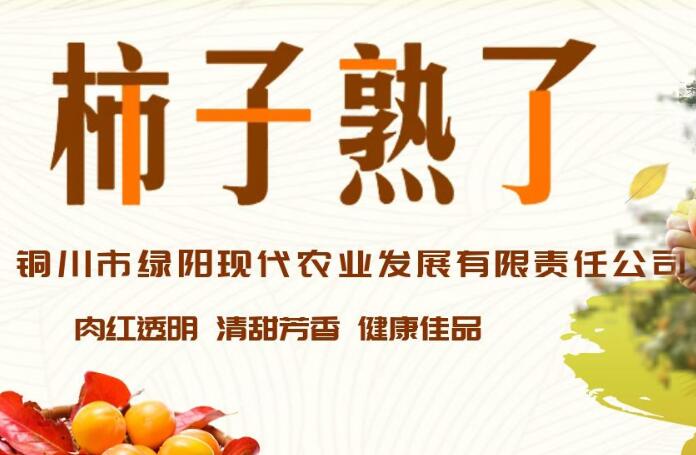 孟姜原仙桃专卖-铜川市绿阳现代农业发展有限责任公司