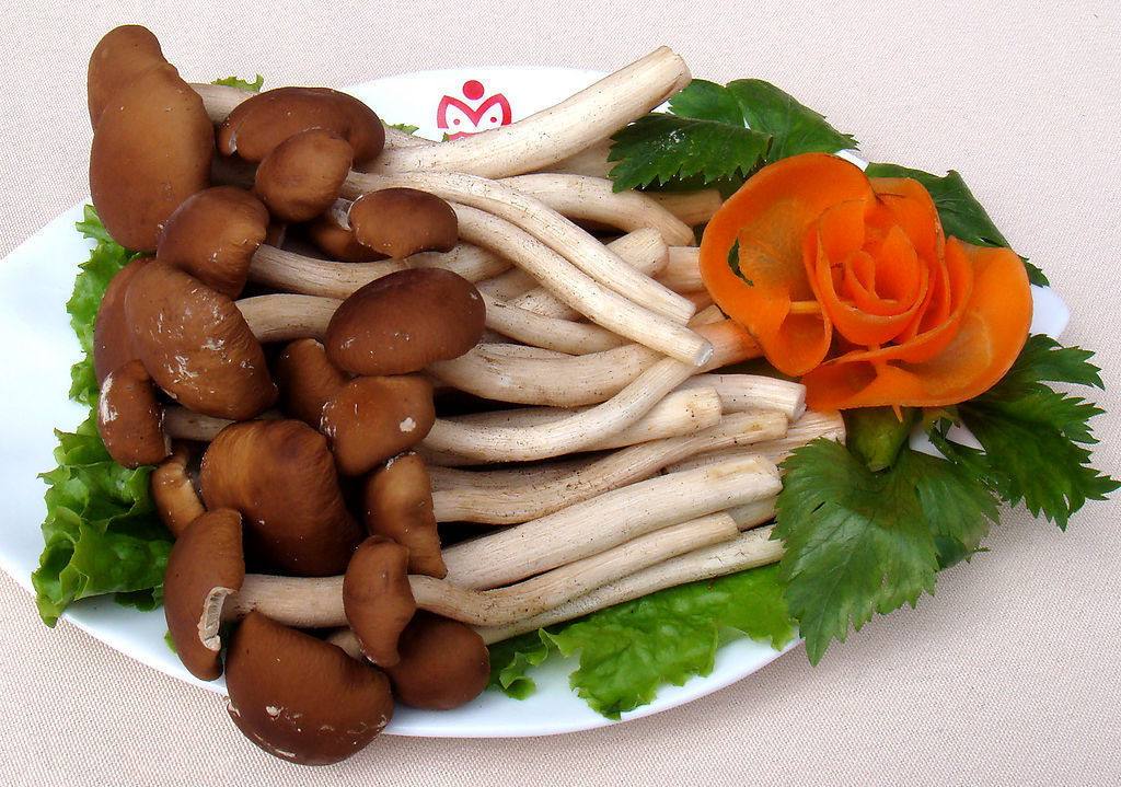 新鲜香菇产地直销_重庆香菇价格-重庆市人间美味贸易有限公司
