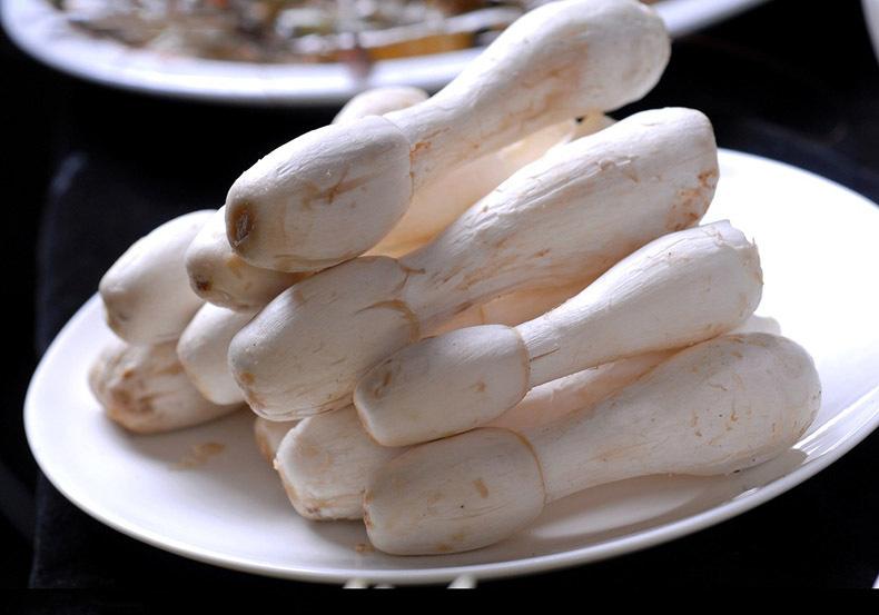 大棚海鲜菇批发_重庆多少钱-重庆市人间美味贸易有限公司