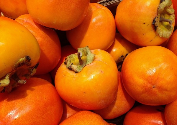 好吃的脆柿子价格_好吃的价格-铜川市绿阳现代农业发展有限责任公司