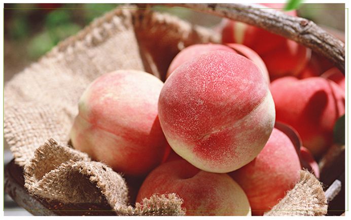 当季超甜大桃零售_超甜大桃价格相关-铜川市绿阳现代农业发展有限责任公司