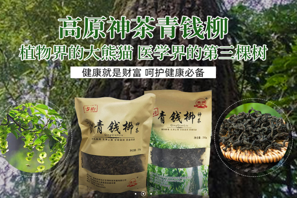 哪里可以买神茶青钱柳_铜仁批发-贵州沿河乌江生物科技发展有限公司