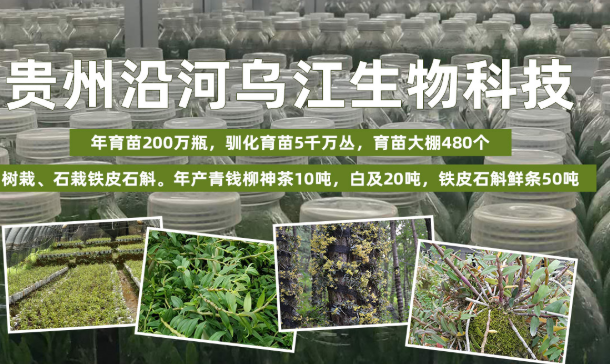 乌江生物科技公司_生物科技产品相关-贵州沿河乌江生物科技发展有限公司