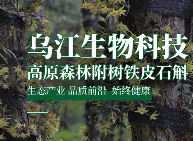 铁皮石斛销售-贵州沿河乌江生物科技发展有限公司