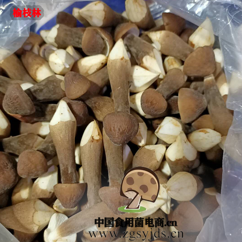 重庆干黑皮鸡枞菌_其他食用菌菇相关-重庆市人间美味贸易有限公司
