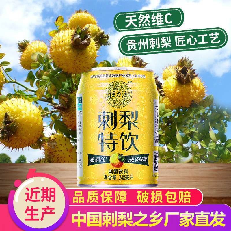 网红刺梨汁_冷饮-贵州天地互联商贸发展有限公司