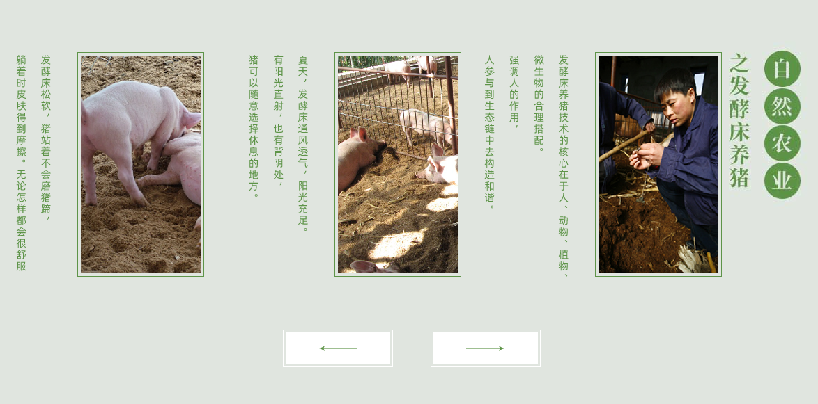 北京生态里脊肉供应_绿色猪肉价格-北京峰儿教育科技有限公司