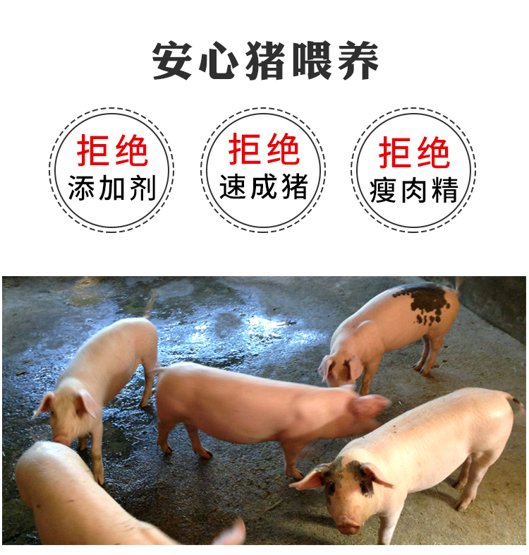 生态猪肋排一斤多少钱_正宗猪肉-北京峰儿教育科技有限公司