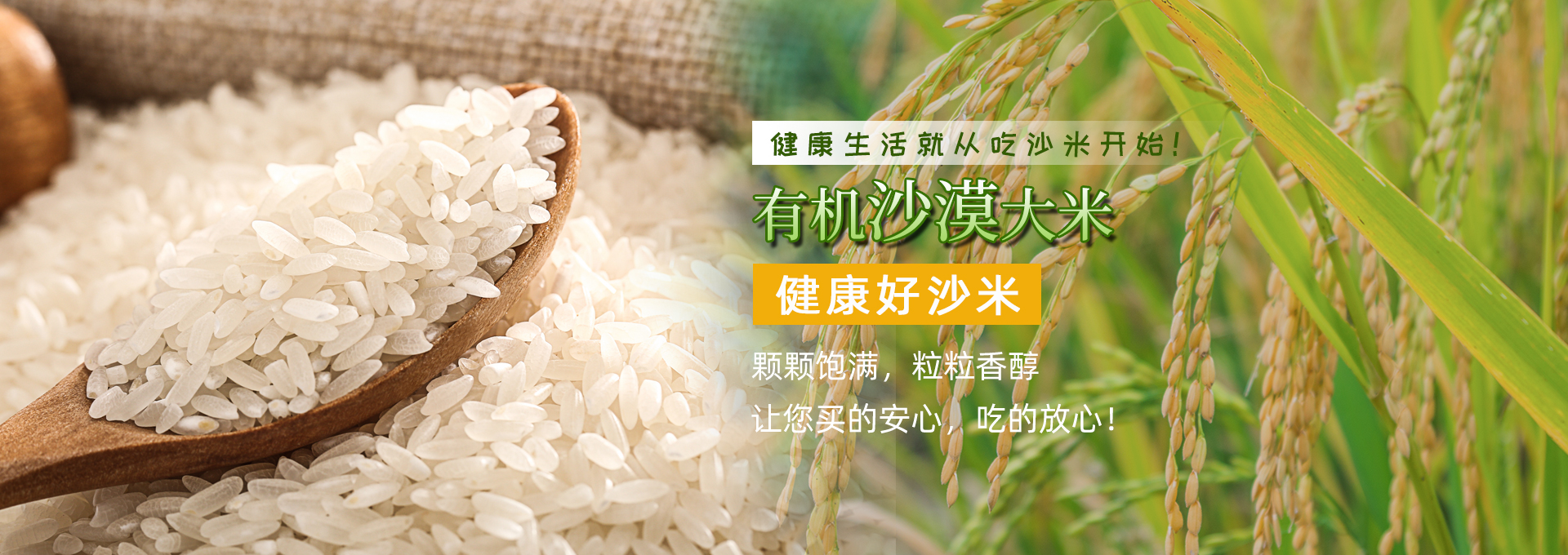 北京绿色有机食品哪里买_其它农业食品相关-北京晶源商贸有限责任公司