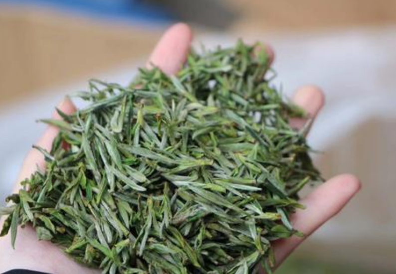四川米仓山绿茶一斤多少钱_绿茶一件代发相关-旺苍县双龙茶业有限公司