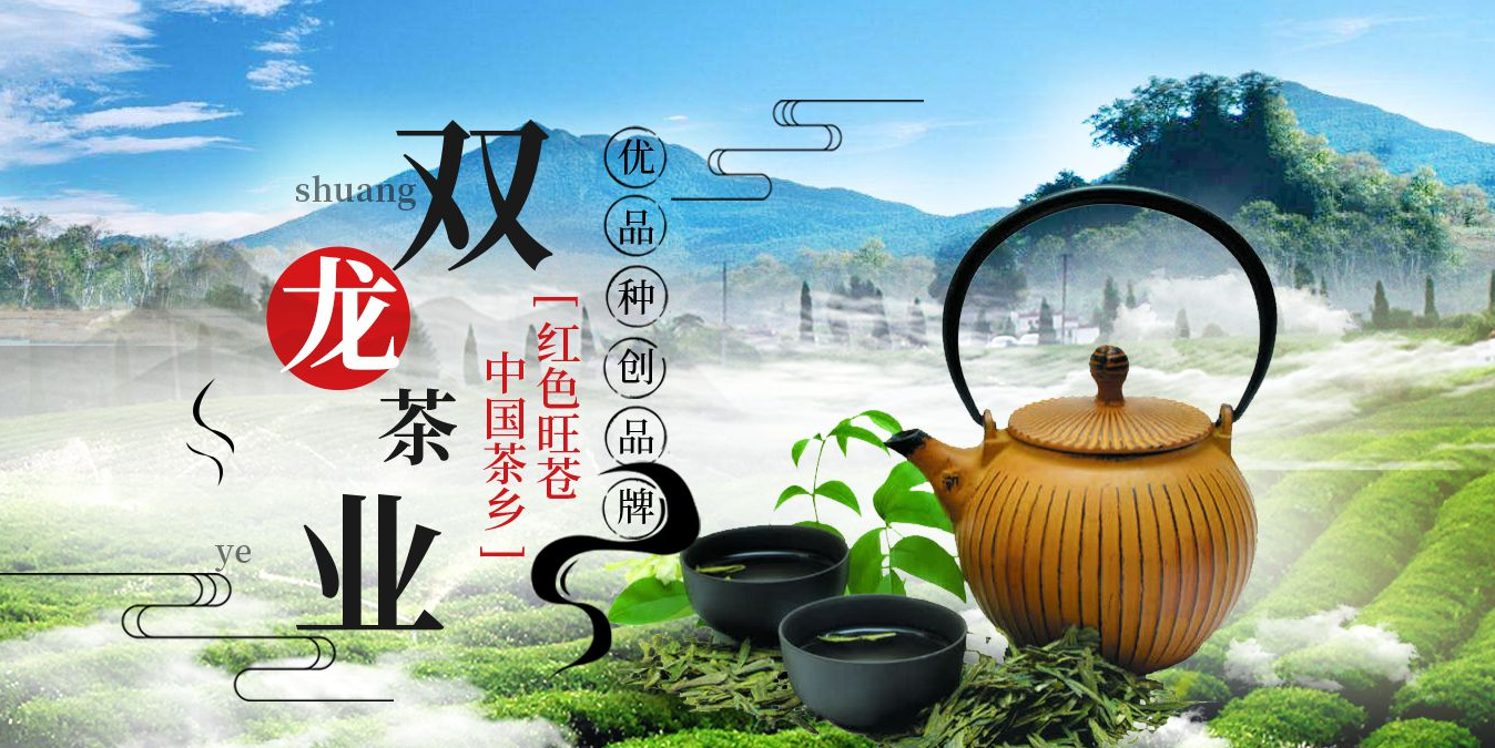 广元黄茶批发_旺苍-旺苍县双龙茶业有限公司