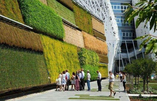 建筑绿化