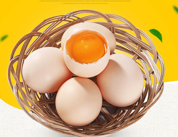 精品土鸡蛋的做法_生态农产品加工多少钱-北京峰儿教育科技有限公司推广计划一